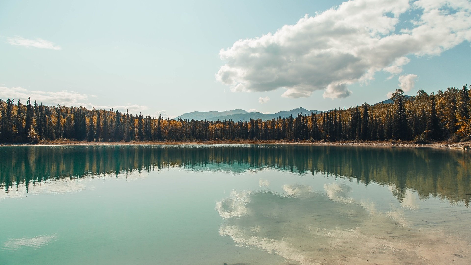 体育课程与生涯规划融合教学实践探索,体育教育生涯规划书