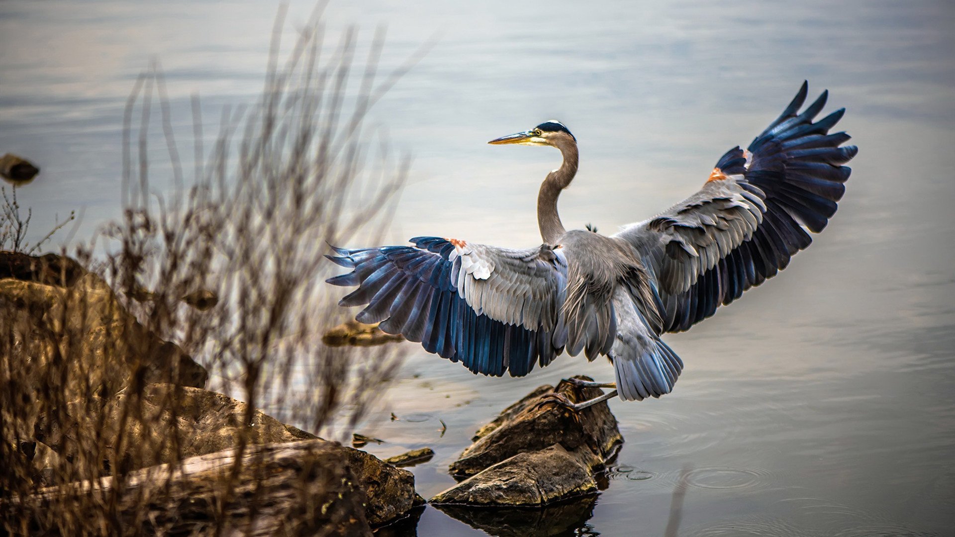 -CBA球队重视团队配合，cba组建球队