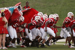 九游游戏中心-国家队技战术水平提升瓶颈，国家技巧队