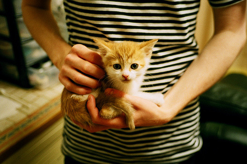 新疆男篮强化边路突破提升整体进攻层次,新疆男篮内线