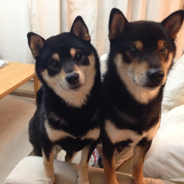 九游(jiuyou)官方网站-皮特·斯图斯：他在每场比赛中的表现总是让人叹为观止，斯徒皮特