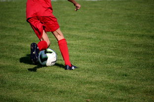 九游网页版官网入口-CBA是否鼓励本土教练参与联盟高阶培训体系，cba教练禁赛规定