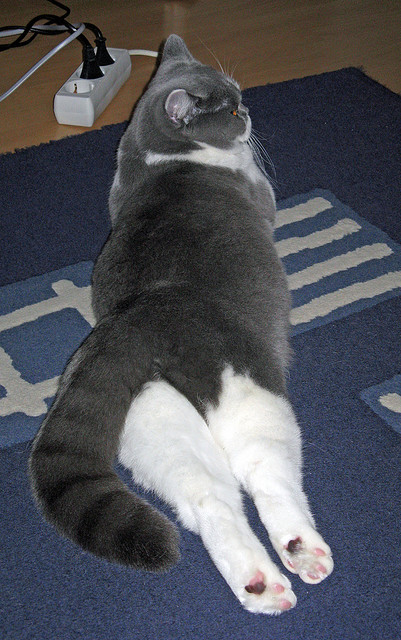 九游jiuyou-体育新闻中心记录国际体育交流合作典型事例，体育对外交流事件